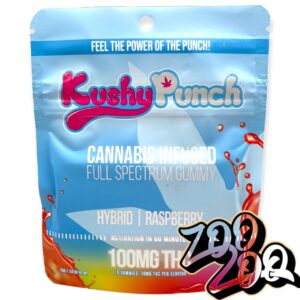 Kushy Punch Full Spectrum Gummies **RASPBERRY** (100mg/10pcs) (H)