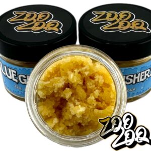 ZooZoo Live Resin (28g) BALLER BUCKET **BLUE GUSHERZ**