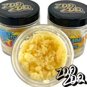 ZooZoo Live Resin (28g) BALLER BUCKET **TROPICANA COOKIEZ**