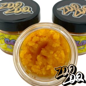 ZooZoo Live Resin (28g) BALLER BUCKET **BANANA GELATO**