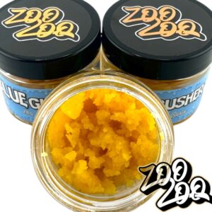 ZooZoo Live Resin (28g) BALLER BUCKET **BLUE GUSHERZ**